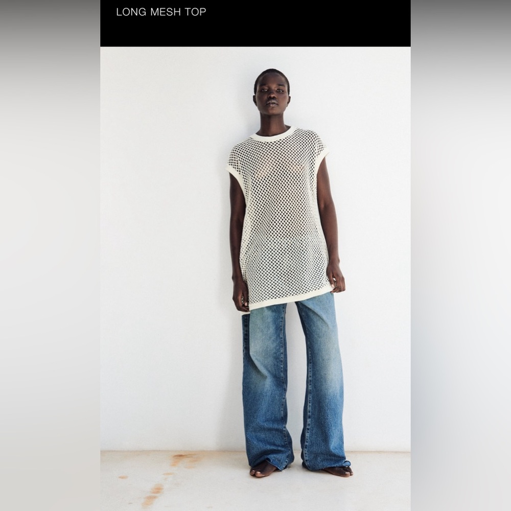 Zara Long Mesh Top